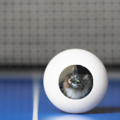 Onweerstaanbare kat Zorro Three Star Ping Ball (Net)