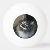 Onweerstaanbare kat Zorro Three Star Ping Ball (Achterkant)
