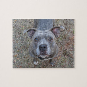 Onweerstaanbare Pitbull Puzzle Legpuzzel