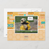 Onwurd, nobul steed! briefkaart (Voorkant / Achterkant)