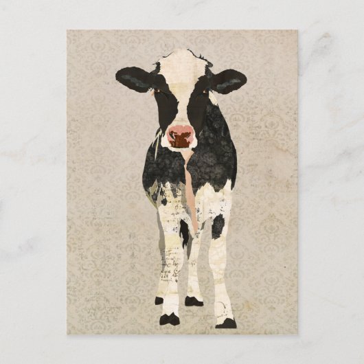 Onyx en Ivory Cow-Briefkaart Briefkaart (Voorkant)