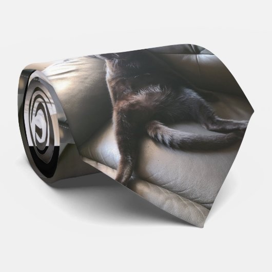 Onyx het stropdas van de kat (Opgerold)