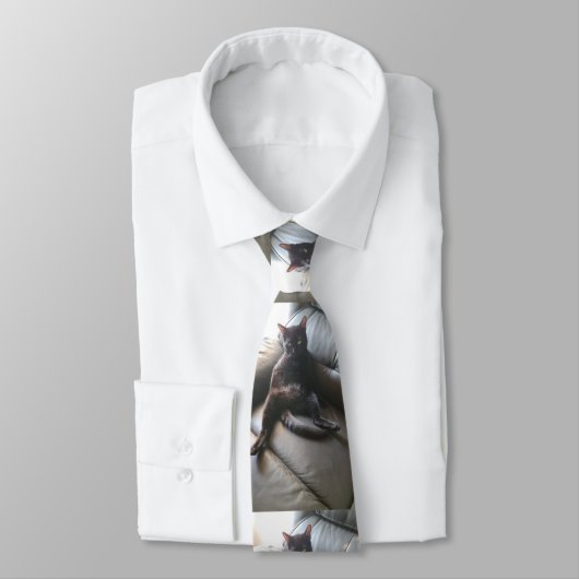 Onyx la cravate du chat (Attaché)