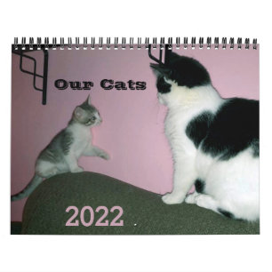Onze aangepaste agenda voor de katten 2022 kalender