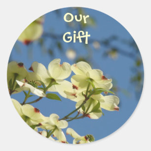 Onze cadeaustickers Witte Dogwood-boom bloemen Ronde Sticker