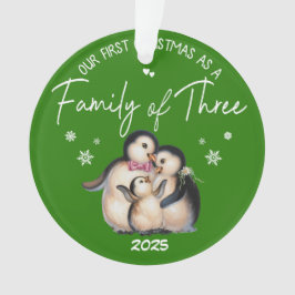 Onze eerste kerst als een familie van drie ornament