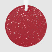 Onze eerste kerstbruiloft foto ornament (achterkant)