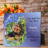 Onze engel heeft vier poten Scenic Path View 0819 Fotoplaat