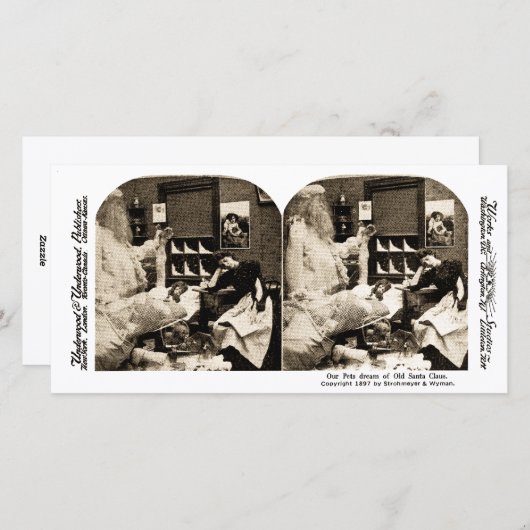 Onze huisdieren Droom van Oude Sinterklaas Stereov Feestdagenkaart (Voorkant / Achterkant)