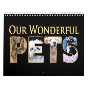 Onze Kalender van Huisdieren, Honden bij hun Beste