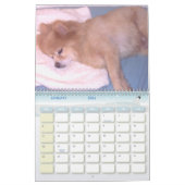 Onze kleine hond, Sir Bark, een partij Kalender (Jan 2026)