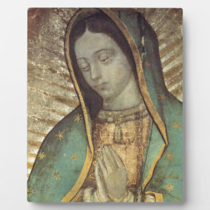 ONZE LIEDERE VAN GUADALUPE FOTOPLAAT