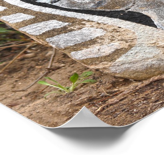 Onze Lieve Vrouw van Guadalupe Rock Painting, Albu Poster (Hoek)