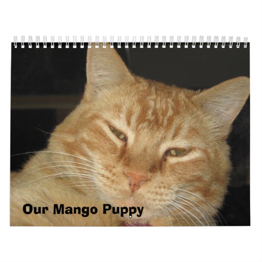 Onze Mango Puppy Kalender (Hoes)
