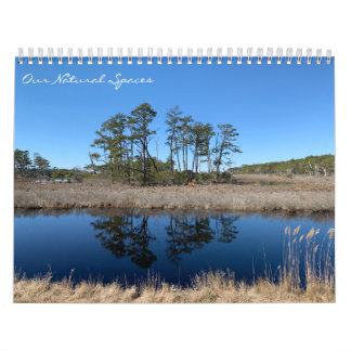 Onze Natuurlijke Ruimtes: dreamflower 2026 kalende Kalender