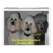 Onze prachtige standaardpresentaties 2011 kalender (Hoes)
