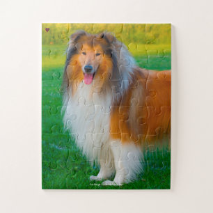 Onze ruwharige collie, onze huisdier legpuzzel
