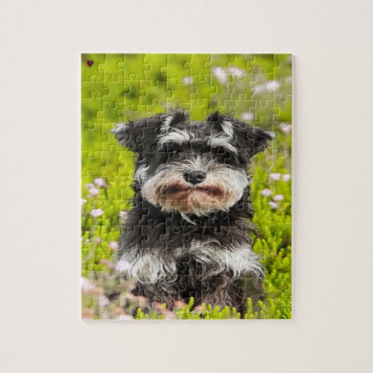 Onze Schnauzer Ons Huisdier Legpuzzel (Verticaal)