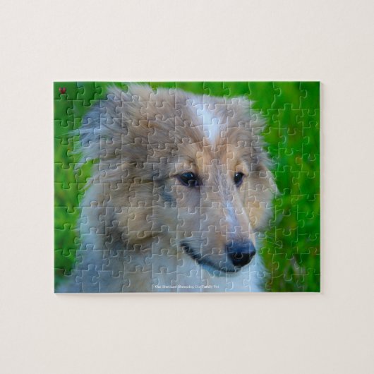 Onze Shetland Sheepdog Ons gezinsleven Legpuzzel (Horizontaal)