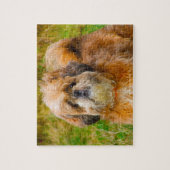 Onze sjiih Tzu ons familiegezelschap Legpuzzel (Verticaal)