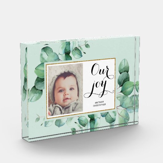 ONZE VREUGDE Modern Script Eucalyptus Floral Baby Fotoblokken (Links)