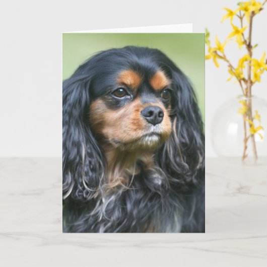 Onze vriendschap Cavalier King Charles Kaart (Gele Bloem)