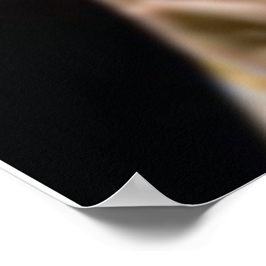 ONZE WET VAN FATIMA POSTER (Hoek)