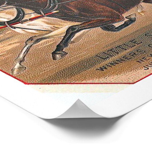 Onze winnaar Race Horse Poster (Hoek)