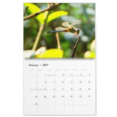 Onze yard kalender (Feb 2027)