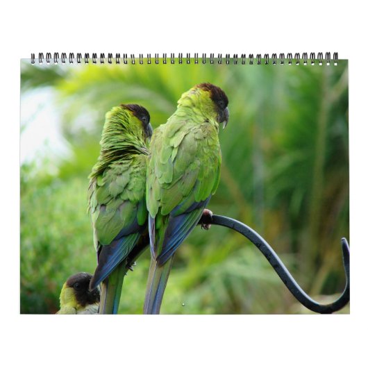 Onze yard kalender (Hoes)