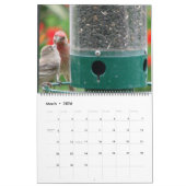 Onze yard kalender (Mar 2026)