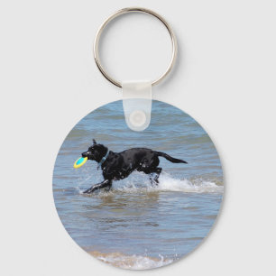 Onze zwarte labrador die Frisbee uit het meer teru Sleutelhanger