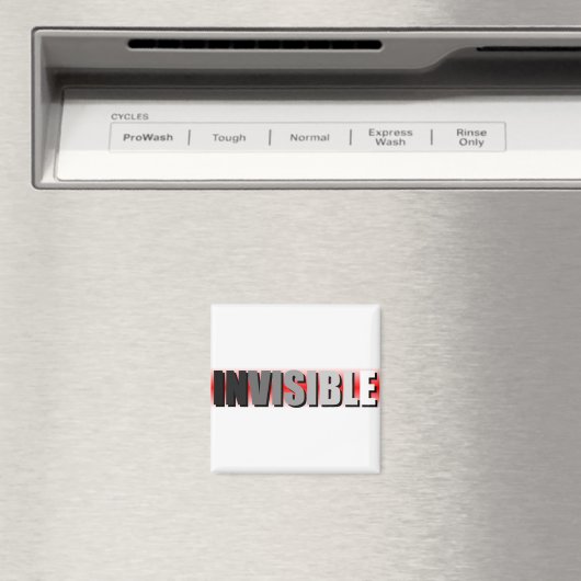 onzichtbaar magneet (Insitu (Vaatwasser))