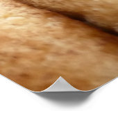 Oodles van Snickerdoedles Poster (Hoek)