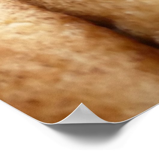 Oodles van Snickerdoedles Poster (Hoek)