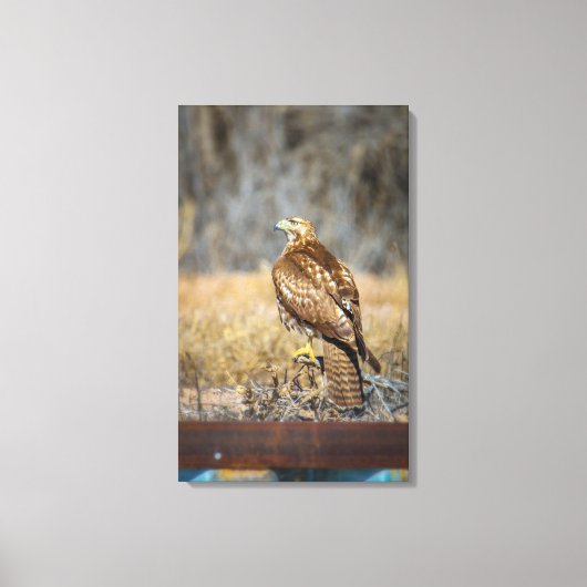 oog 2 canvas afdruk (Voorkant)