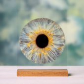 Oog Acrylaat Bord (Neutraal)