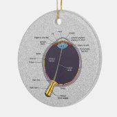 Oog-anatomie-Ornament Keramisch Ornament (Links)