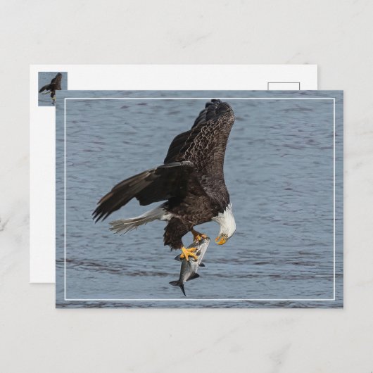 oog om te oogsten briefkaart (Voorkant / Achterkant)