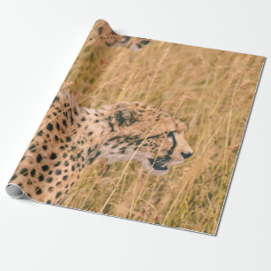 OOG OP DE DOELLEOPARD DIERENFOTO CADEAUPAPIER