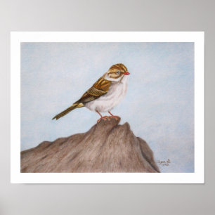 Oog op de Mus 11"x14" Print