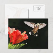 Oog op de prijs briefkaart (Voorkant / Achterkant)