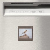 Oog op de Sparrow Magnet Magneet (Insitu (Vaatwasser))