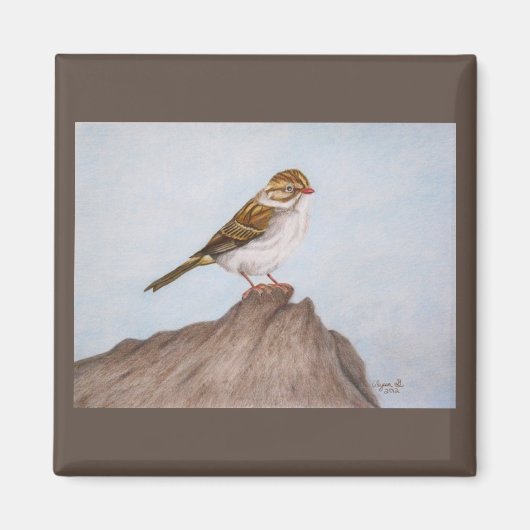 Oog op de Sparrow Magnet Magneet (Voorkant)