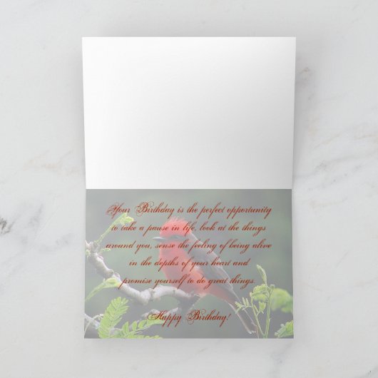 Oog op Eye Birthday Kaart (Binnen)