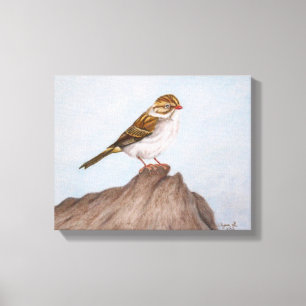Oog op het Sparrow Wrapped Canvas Afdruk