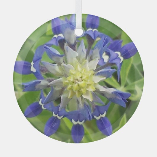 Oog Ornament van Texas Bluebonnet (Voorkant)