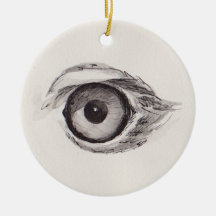 Oog van de Adelaar – Gaze Collectie