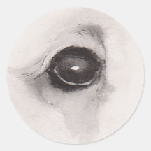 Oog van de Beer - Blikcollectie