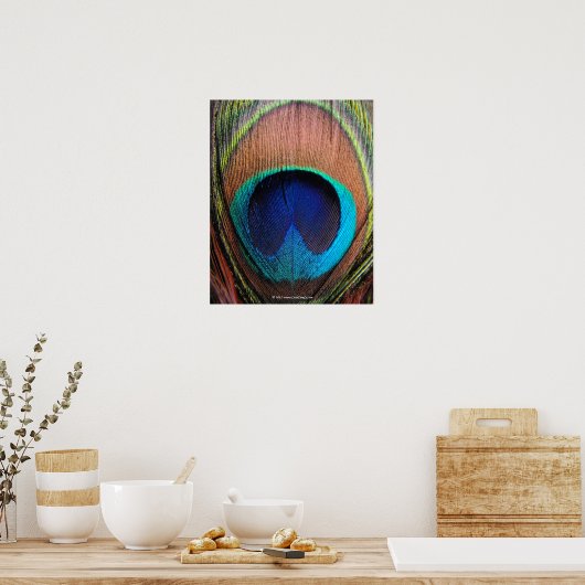 Oog van de Peacock-doezelssluiting Poster (Keuken)